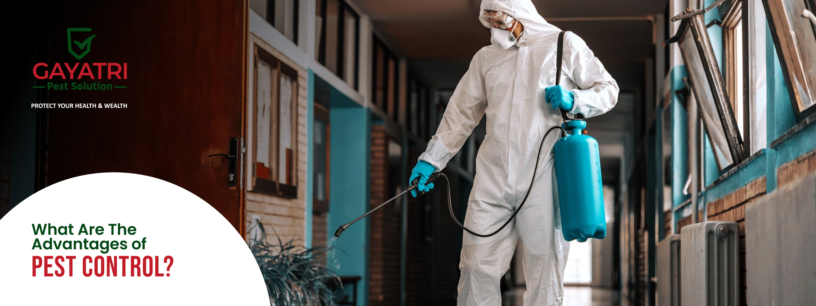 Advantages of Pest Control Advantages of Pest Control