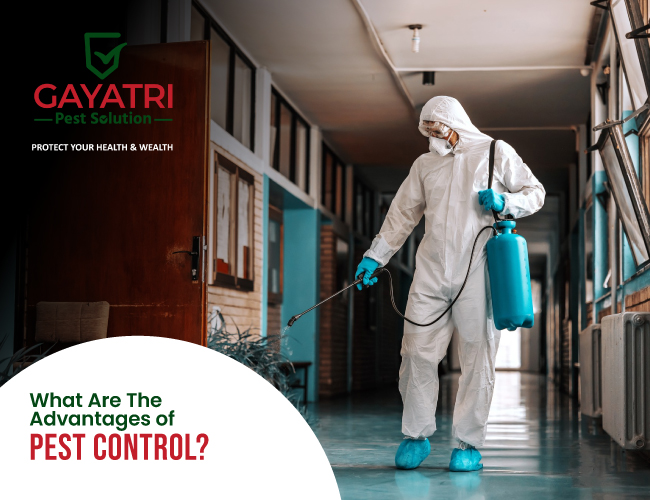 Anti Termite Piping System