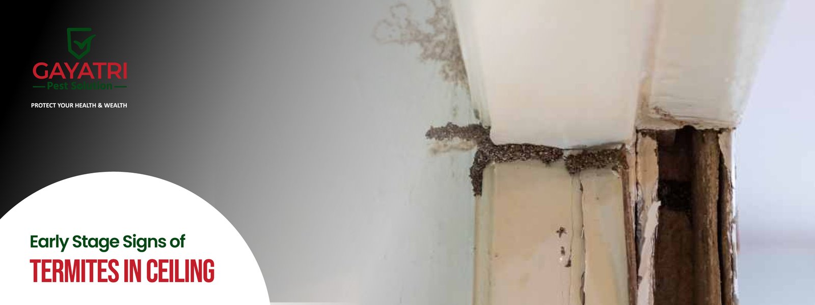 Early Stage Signs of Termites in Ceiling Early Stage Signs of Termites in Ceiling