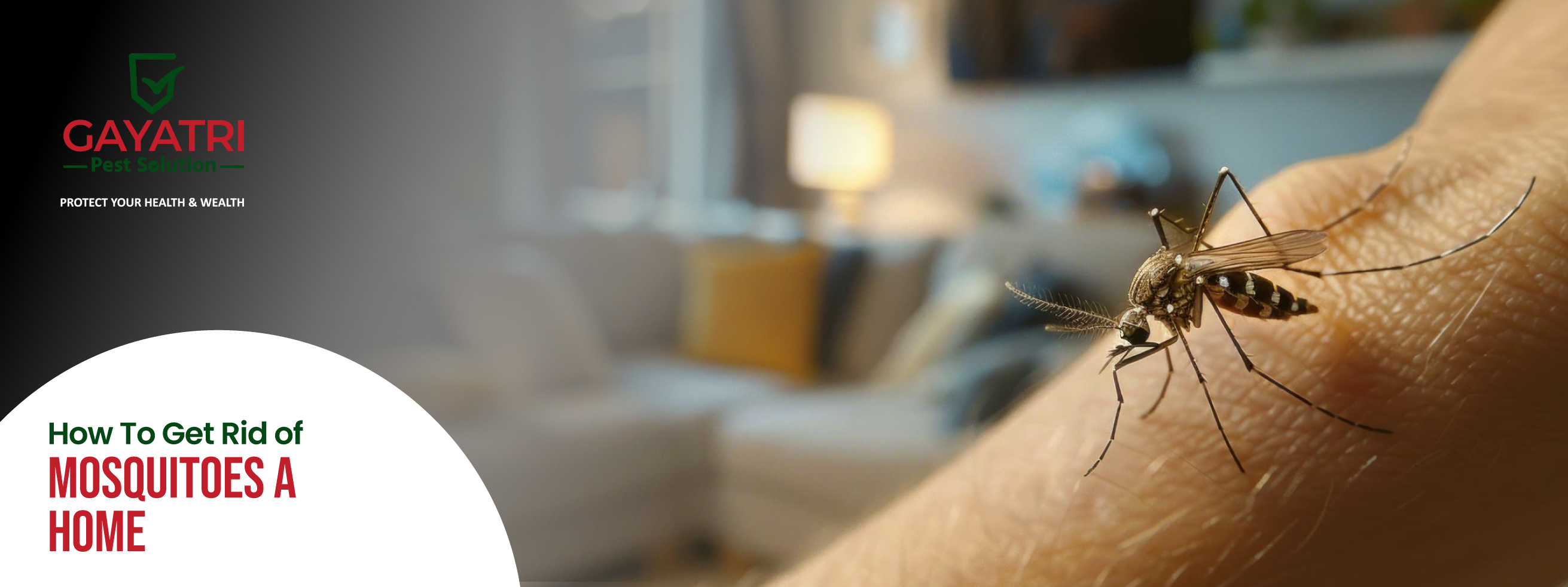 How To Get Rid of Mosquitoes At Home