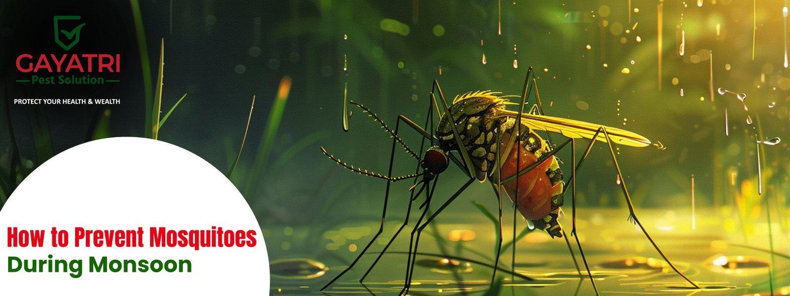 How to Prevent Mosquitoes During Monsoon
