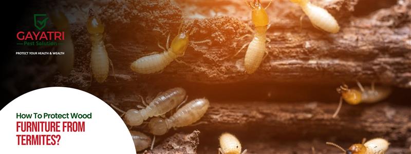 Protect Wood Furniture from Termites