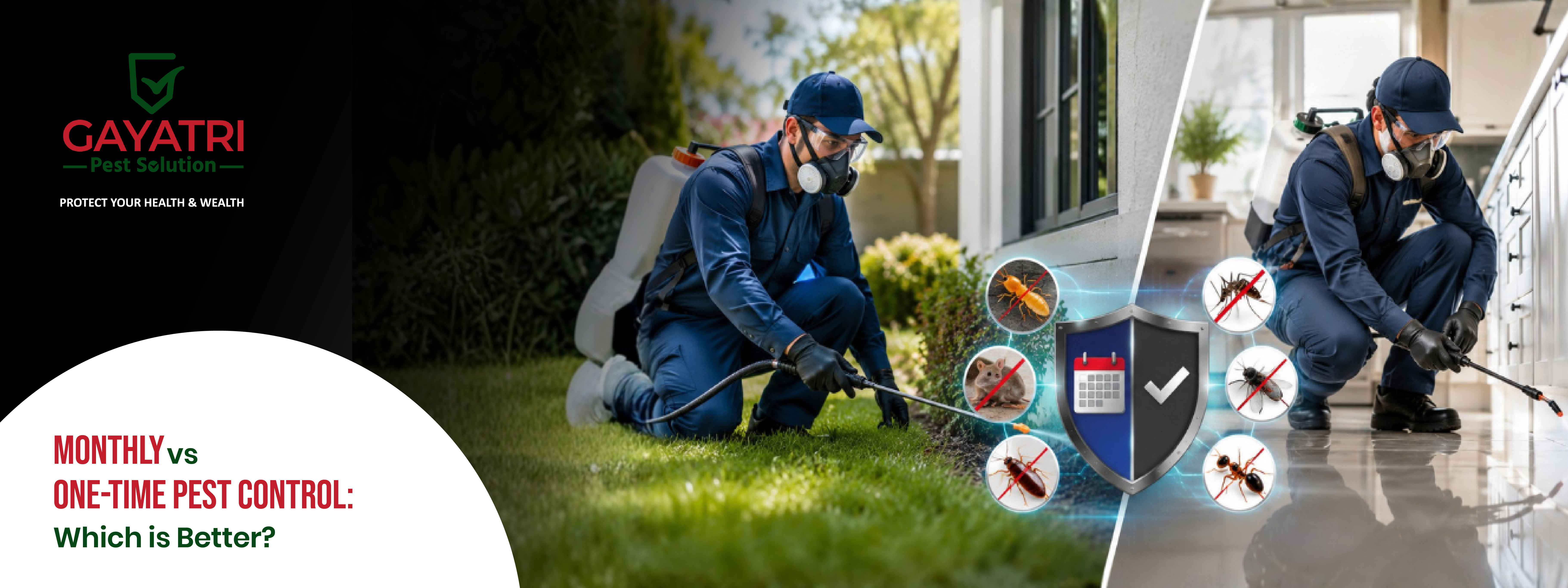 Monthly vs One-Time Pest Control