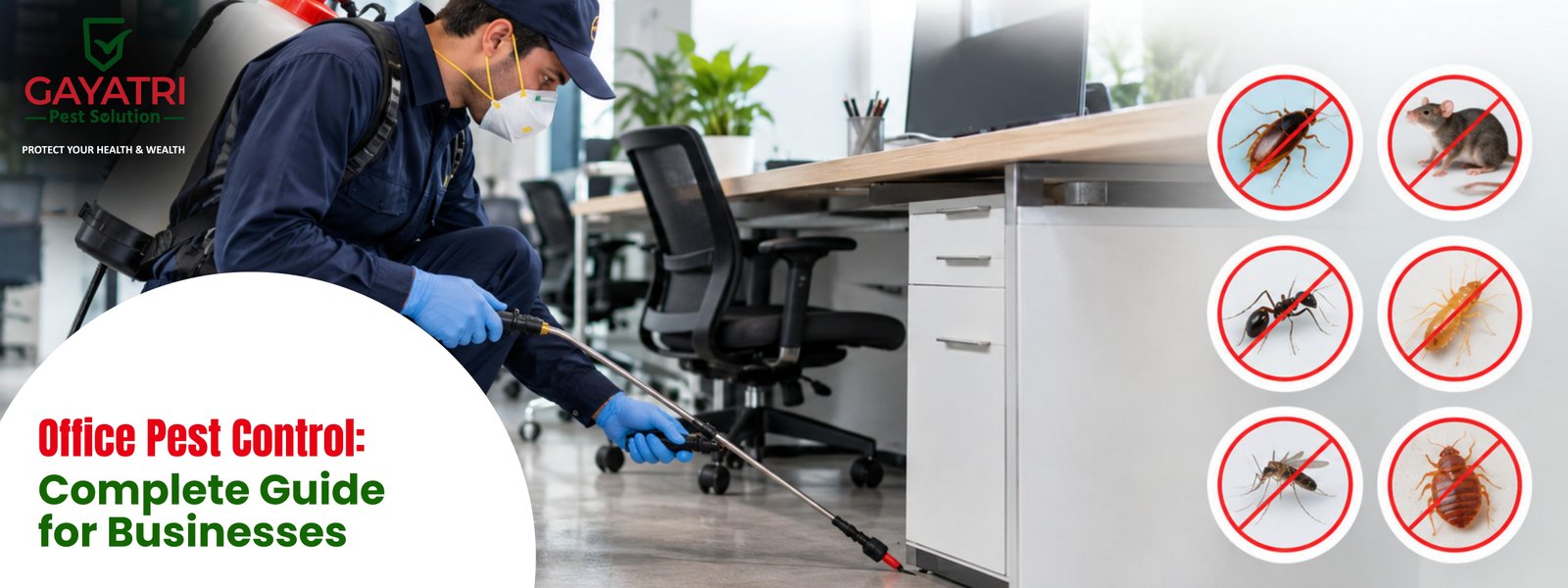 Office Pest Control: Complete Guide for Businesses
