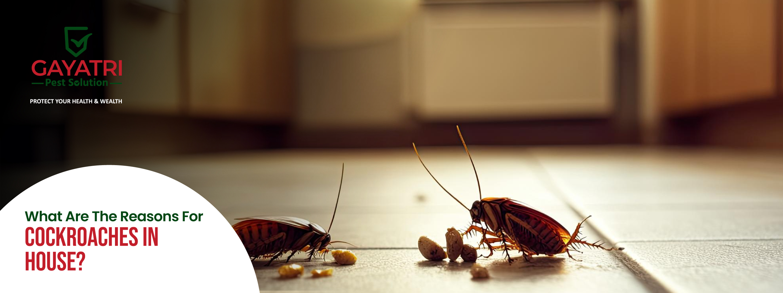 How To Get Rid of Mosquitoes At Home