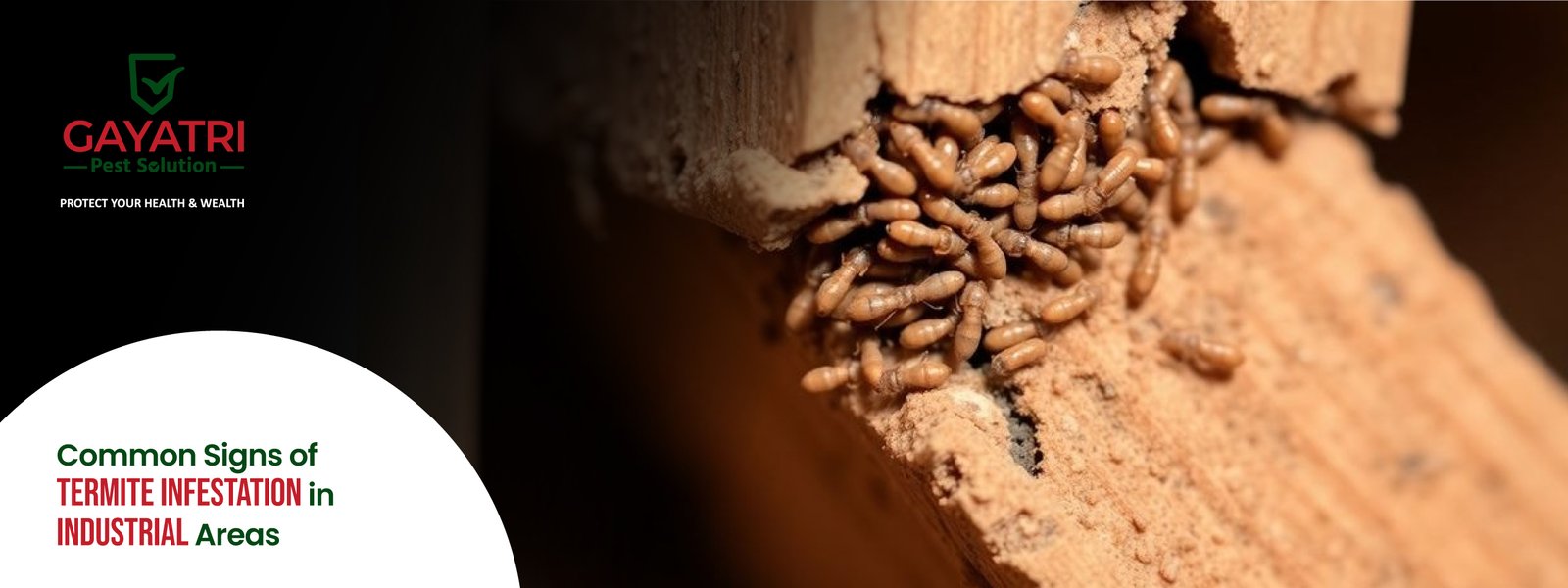 Mosquito Larvae Treatment