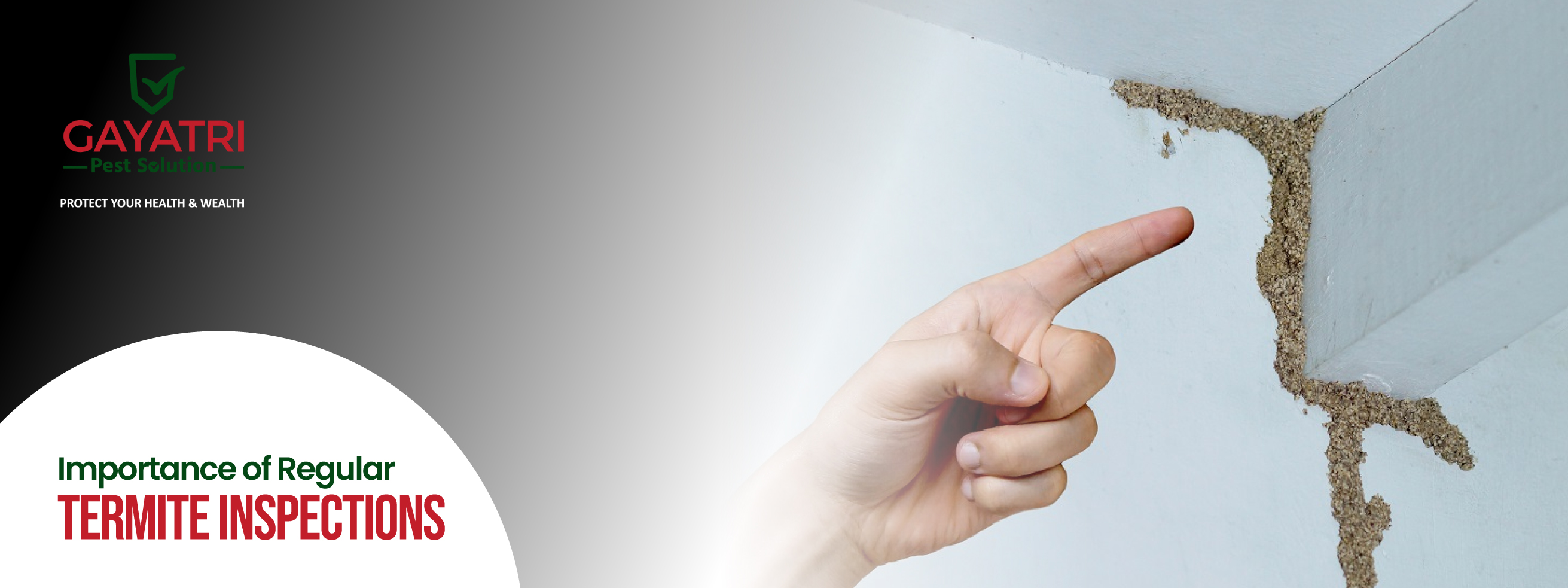 Regular Termite Inspections