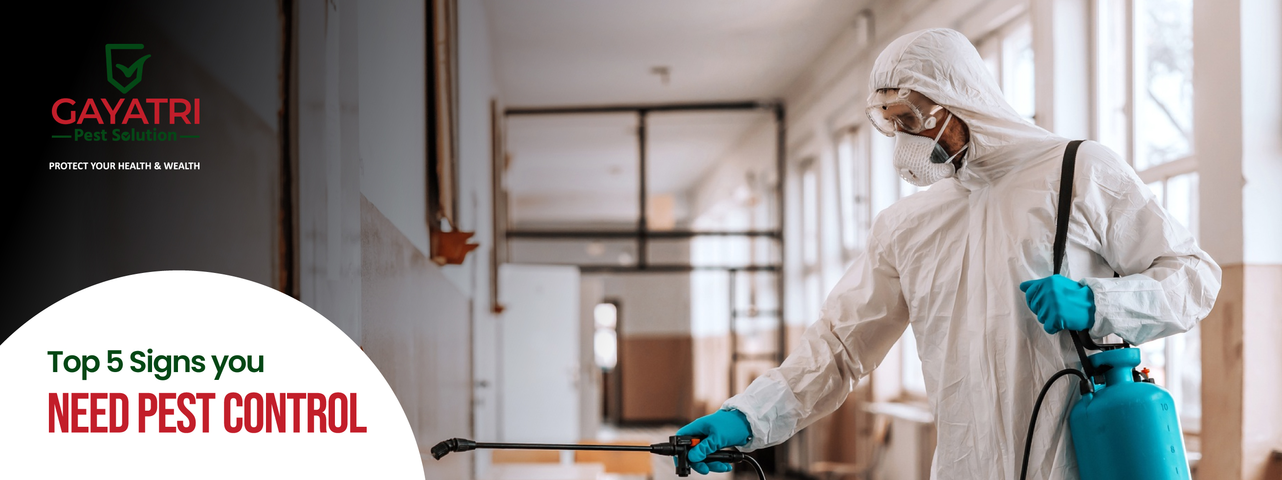 Signs You Need Pest Control